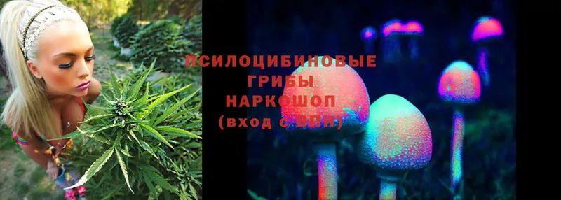 купить наркоту  Лобня  Галлюциногенные грибы MAGIC MUSHROOMS 